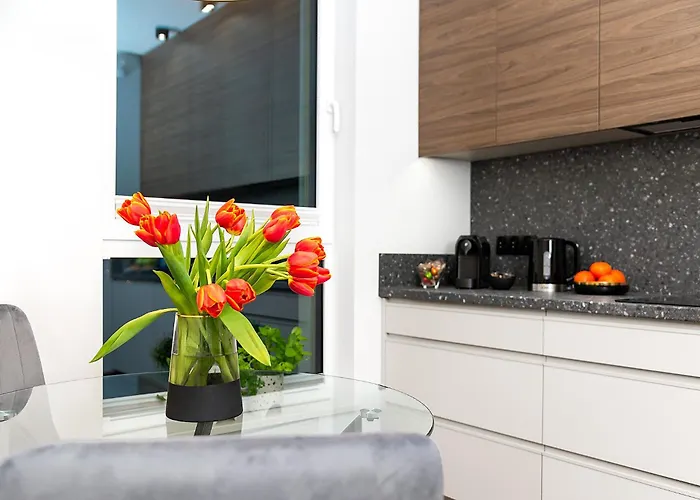 Baltica Marina Daire *